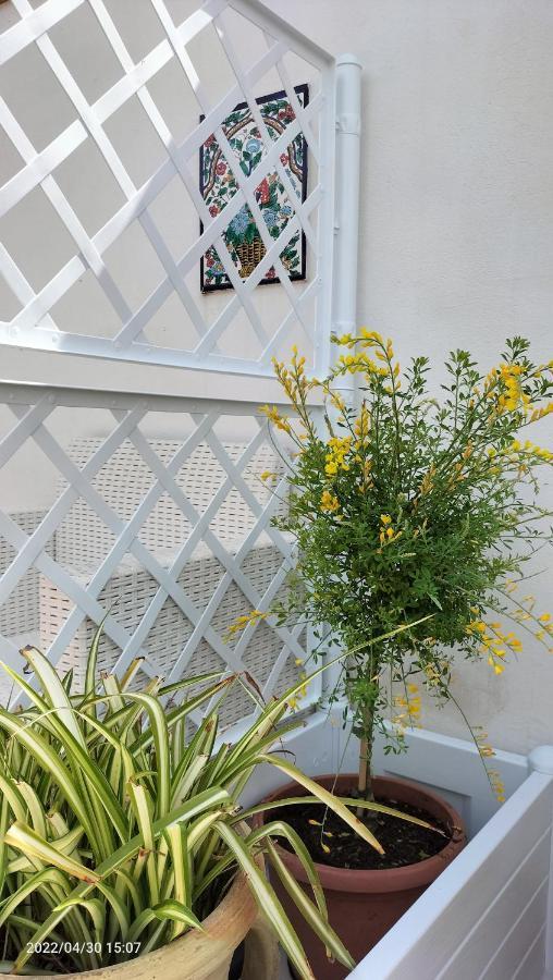 Villa Con Piscina Uso Esclusivo 马扎拉德尔瓦洛 外观 照片